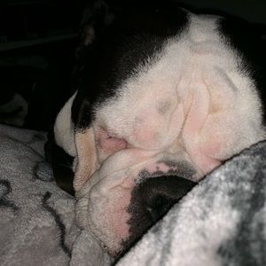 Meet your Posher, Miranda